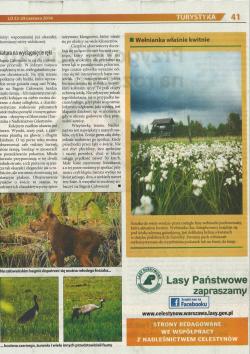 66-2.autor A. Kubajek, 23-29.06.2014 2.jpg