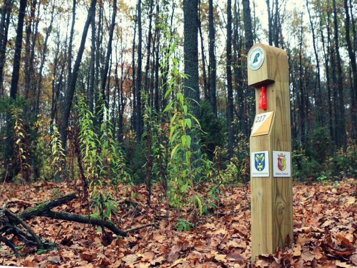 Punkt kontrolny fot. S. Wojtyszyn