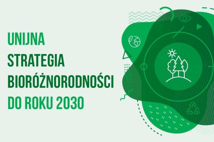 Ekspertyzy dotyczące unijnej strategii dla bioróżnorodności