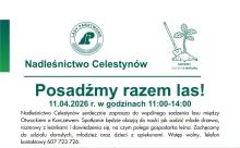 Posadźmy razem las!